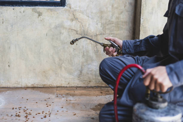 Best Pest Removal Services  in World Golf Village, FL
